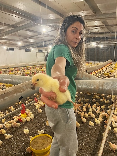 Middle age woman holden a chicken in her right hand.