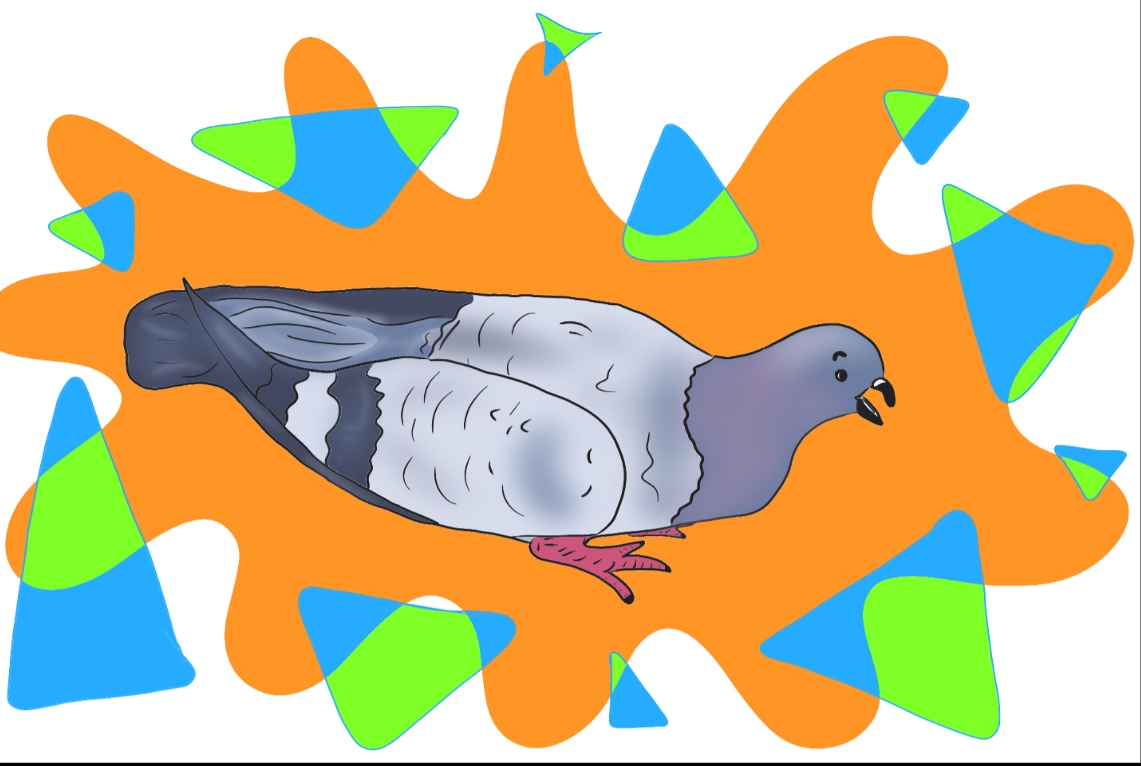 Illustration of a pigeon surrounded by colorful abstract shapes