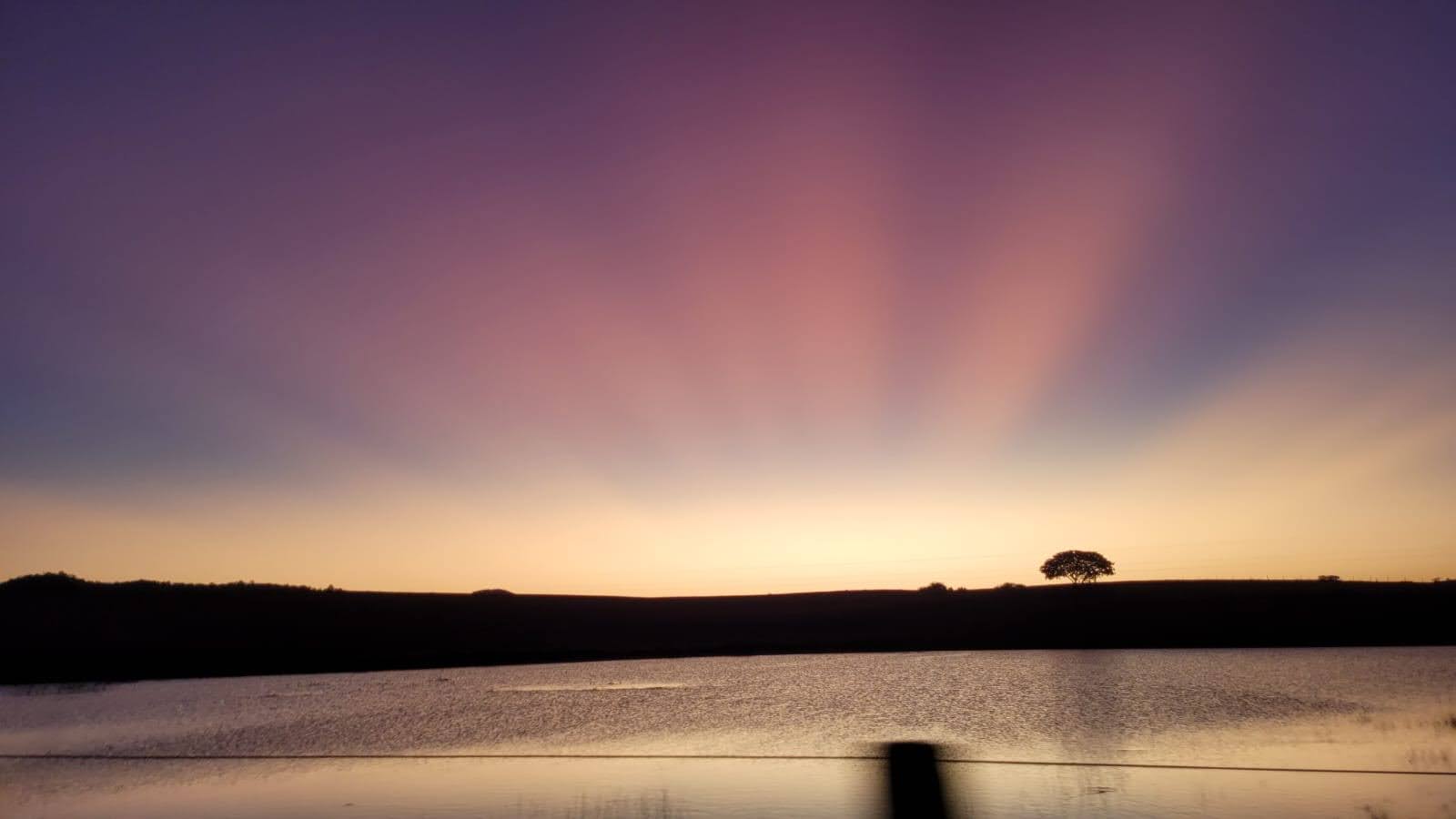 Sunset near an archaeological site, with a calm body of water and a solitary tree silhouetted against a sky fading from golden yellow to pink and purple.