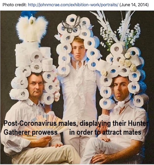 Three men post in powdered wig style wigs made of roles of toilet paper. The caption reads "Post-Coronavirus males, displaying their Hunter Gatherer prowess in order to attract mates.