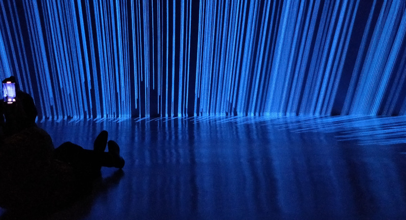 A person taking picture with their phone in a dark room with blue digital art projected on the walls