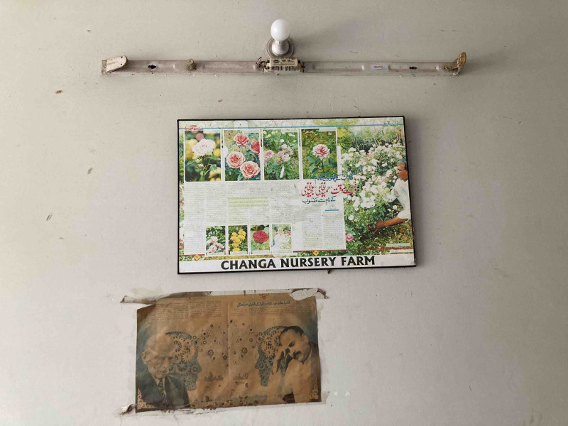 The image shows a faded white wall in the background. There are two boards hanging on the wall. The board on top is a framed newspaper story with the title “Changa Nursery Farm.” The board on the bottom is a faded newspaper clipping that has been taped to the wall and shows the photo of Pakistan’s founder (Muhammad Ali Jinnah) and Pakistan’s national poet (Allama Iqbal). On the top of the photos is an empty tube light frame and an energy saver bulb.