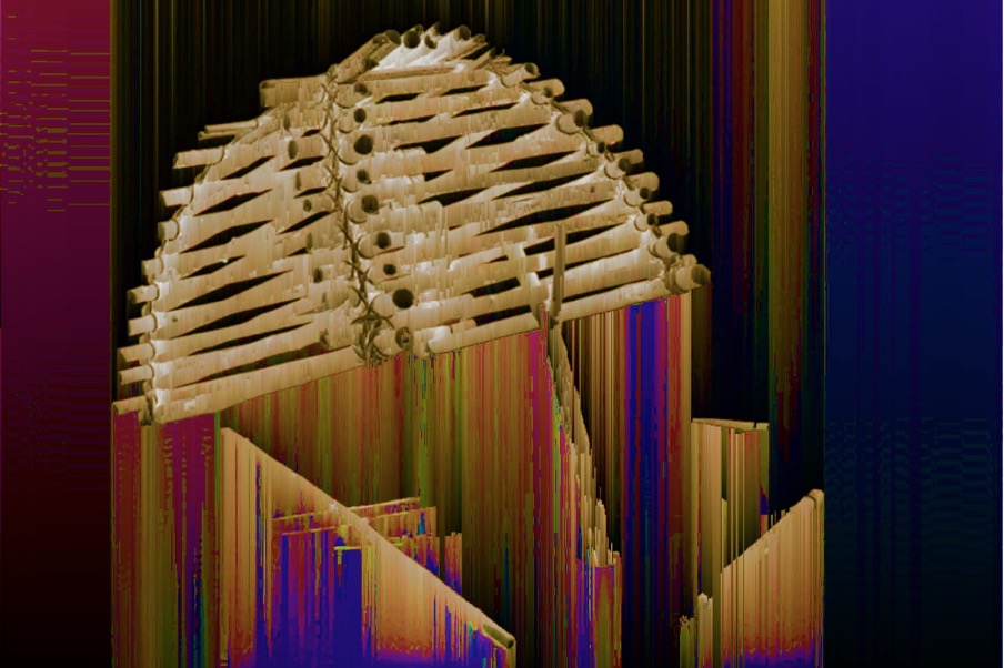 Image of an arapuca, woven in cane against a darker background. The thickness of the trap appears as a semi-circle on the top left hand corner of the image, and other components of the trap, some with purple, green, red and yellow shading, appear through the bottom corners.