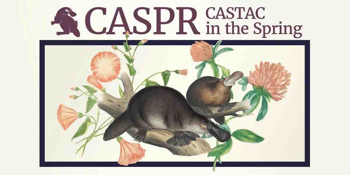Decorated image used as an invitation for CASPR 2023