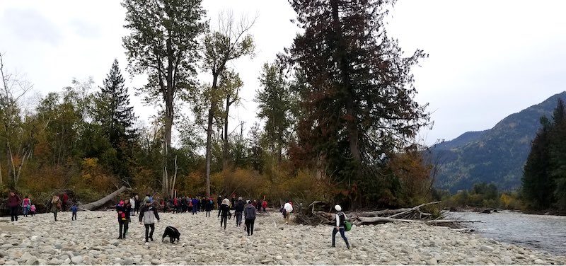 Photograph of about 40 people in the distance dressed in warm clothing and walking on a rocky river bank, with large trees above.